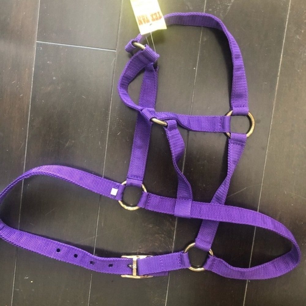Horse halter NWT